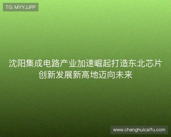 沈阳集成电路产业加速崛起打造东北芯片创新发展新高地迈向未来
